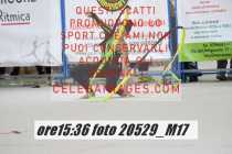 20529_M17-