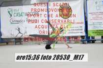 20530_M17-