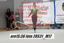 20531_M17-