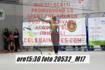 20532_M17-