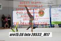 20533_M17-