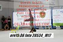 20534_M17-