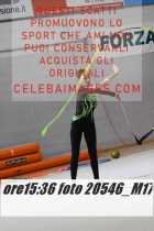 20546_M17-