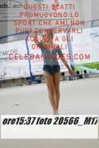 20566_M17-
