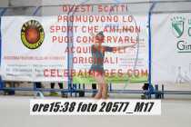 20577_M17-