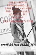 20586_M17-