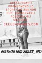 20588_M17-