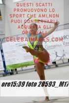 20593_M17-