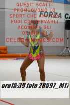 20597_M17-
