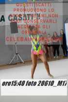 20610_M17-