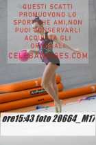 20664_M17-