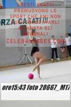 20667_M17-