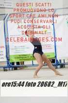 20682_M17-