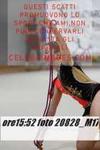 20828_M17-