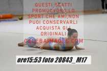 20843_M17-