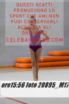 20895_M17-