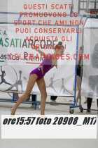 20908_M17-
