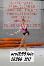 20960_M17-