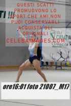 21007_M17-