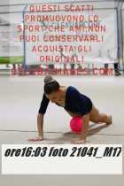 21041_M17-