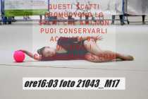 21043_M17-