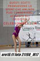 21190_M17-