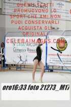 21273_M17-