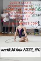21333_M17-
