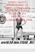 21348_M17-