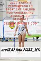 21433_M17-
