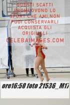 21536_M17-