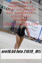 21619_M17-