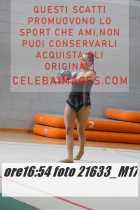21633_M17-