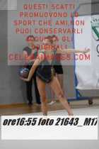 21643_M17-