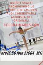 21664_M17-