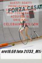 21733_M17-