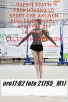 21795_M17-