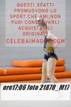 21870_M17-