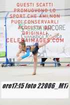 22006_M17-
