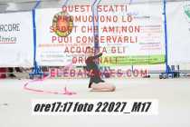 22027_M17-