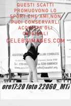 22060_M17-