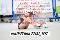 22181_M17-