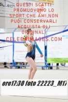 22223_M17-