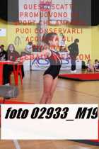 02933_M19-