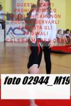 02944_M19-