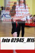 02945_M19-