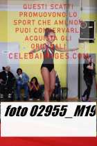 02955_M19-