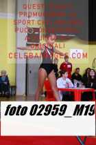 02959_M19-