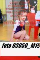 03050_M19-