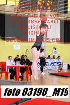 03190_M19-